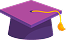 IconHatDolphin